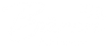 Logo_Baeren_Adelboden_negativ